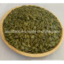 High Quality Export New Crop Pumpkin Seed Kernels